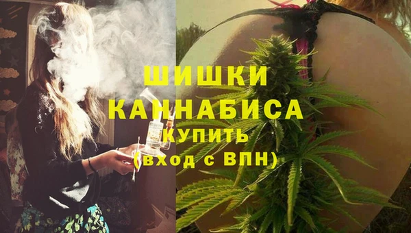 альфа пвп Горно-Алтайск