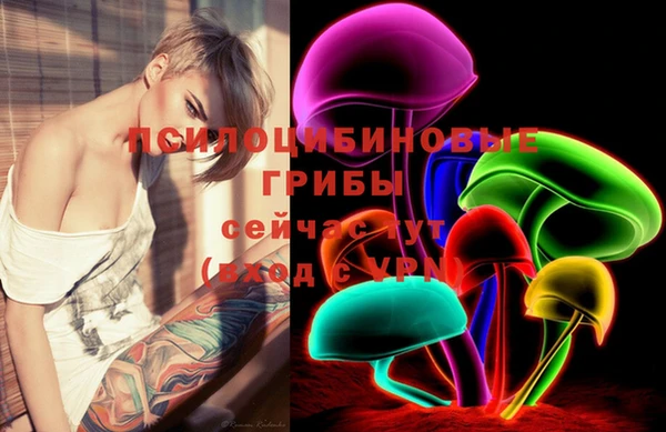 марки lsd Горнозаводск