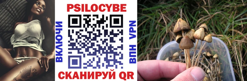 Псилоцибиновые грибы Psilocybine cubensis  закладки  Плавск 